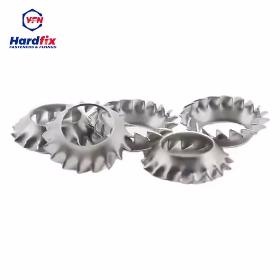 external tooth lock washer